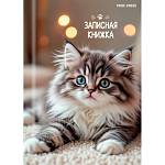 Записная книжка А7 64 л. П-П Милые котята-6 64-8639