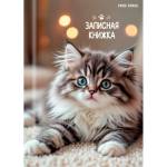 Записная книжка А7 64 л. П-П Милые котята-6 64-8639