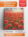 Мозаика алмазная 30х40 НД-8927 Маковая даль