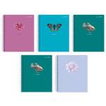 Тетрадь 48 л. (спираль) К-Э Красивые акценты ТСБ488819