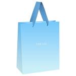 Пакет подарочный MESHU For you MS_66223 11х14х6,5см