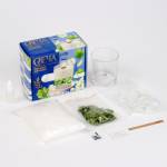 Набор для создания свечей с сухоцветами Зеленое яблоко 10100649