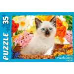 Пазлы 35 эл. Котенок в корзине П35-0108