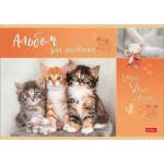 Альбом д\рис. 16 л. Хатбер Мур Котики мел.карт. 16А4В