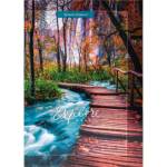 Блокнот-бизнес А4 80 л. П-П Мостик в лесу 7БЦ Б80-6697