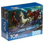 Пазлы 2000 эл. TOPpuzzle Ночной табун лошадей ХТП2000-1594