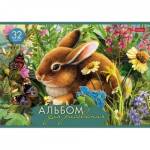 Альбом д\рис. 32 л. Хатбер Давай дружить мел.карт. 32А4В