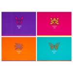 Альбом д\рис. 12 л. БиДжи Fuze ассорти АР4ск12 10804