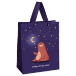 Пакет подарочный MESHU Я подарю тебе луну MS_51871 18*23*10см