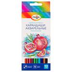 Карандаши цв. 12 цв. акварельные Гамма Классические WP12_042026