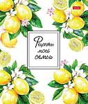 Книга кулинар. рецептов А4 80 л. Хатбер Рецепты моей семьи 80ККт4грз_34456