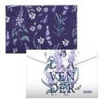 Папка - конверт А4 EK на кнопке Lavender 54781 набор 4 шт. ассорти