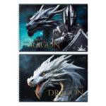 Альбом д\рис. 40 л. (спираль) БиДжи Дракон и воин АР4гр40 58159