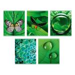 Тетрадь 96 л. (клетка) К-Э Занимательная природа ТЛ968707