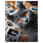 Дневник ст.кл. БиДжи Барсик тверд. 7БЦ Д5т48_лг 62133