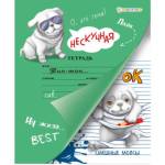 Раскраска А5 Нескучная тетрадь Веселые мопсы 12л с заданиями РТ-2841