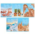 Тетрадь 18 л. (клетка) БиДжи Holidays Т5ск18_вл 60294