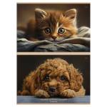 Альбом д\рис. 20 л. БиДжи Дружок мел.карт. АР4ск20 08592