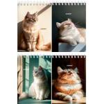 Блокнот А6 40 л. (спираль) П-П Солнечные котики Б40-7019