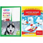 Картон белый А4 16 л. ArtSpace немелов. в папке Нкн16б_6962/220683