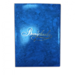 Папка адресная "Выпускнику" ламинир. 3-х секц. гроза синяя 