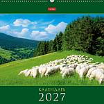 Календарь на ригеле Знак Года 2027 096032
