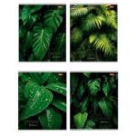 Тетрадь 48 л. (клетка) П-П Тропические листья второй блок 48-8411