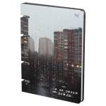 Тетрадь 120 л. А5 на кольцах БиДжи За окном. картон.обл. ТК5к120_лм_вл 57860