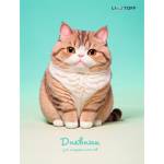 Дневник мл. кл. К-Э Котик 7БЦ глянц. лам ДМ254801