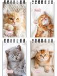 Блокнот А7 40 л. (спираль) П-П Милые котята-1 Б40-6384