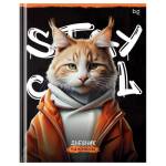 Дневник мл. кл. БиДжи Stay cool тверд. 7БЦ Д5т48_лг 64733