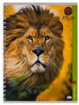 Тетрадь 48 л. (спираль) П-П Короли зверей 48-4541 РАСПРОДАЖА