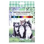 Карандаши цв. 18 цв. Хатбер Котики бывают разными CS_084400