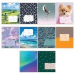 Тетрадь 24 л. (линия) БиДжи Mix-10 Т5ск24 06132