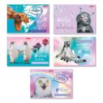 Альбом д\рис. 32 л. SVETOCH Живи не тужи мелов.карт. 32АЛСК4_3_3_9_000217