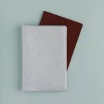 Обложка д/паспорта Серебро 3-619/11