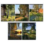 Тетрадь 96 л. (клетка) БиДжи Любимая страна Т5ск96 57663