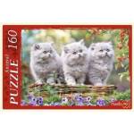 Пазлы 160 эл. Котята в корзинке №2 П160-1079