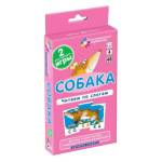 Набор карточек Обучение Грамоте 4 Собака Читаем по слогам Штец А.А.