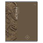 Тетрадь 48 л. (клетка) БиДжи Гармония знаний История soft-touch ТПск48_лс 62354 