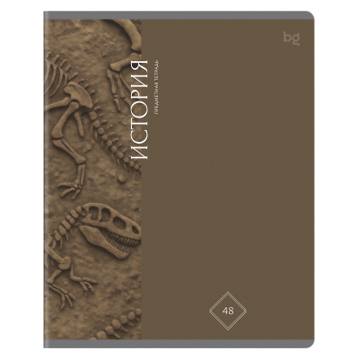 Тетрадь 48 л. (клетка) БиДжи Гармония знаний История soft-touch ТПск48_лс 62354 