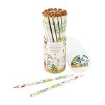Карандаш ч/гр. Bruno Visconti Flora.Луговые травы НВ 21-0030/93