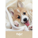 Книга для записей А5 80 л. К-Э Пушистый друг КЗБ5803490