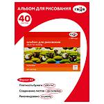 Альбом д\рис. 40 л. Гамма Мультики на склейке 21122022_40