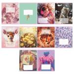 Тетрадь 12 л. (линия) БиДжи MIX-10 Девочки Т5ск12 64138