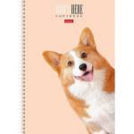 Тетрадь А4 96 л. (спираль) Хатбер Кто здесь? 96Т4лВ1гр