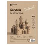 Картон переплетный А4 20 л.ArtSpace Пк20_06580