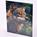 Мозаика алмазная 21х25 Волк М-12307