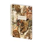 Еженедельник А5 Bruno Visconti FAUNA.Волшебные совы на золотом гребне 72 л. 3-816/04