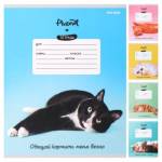 Тетрадь 12 л. (косая) П-П Котики и фразы 12-5774